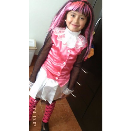 Disfraz de Monster High